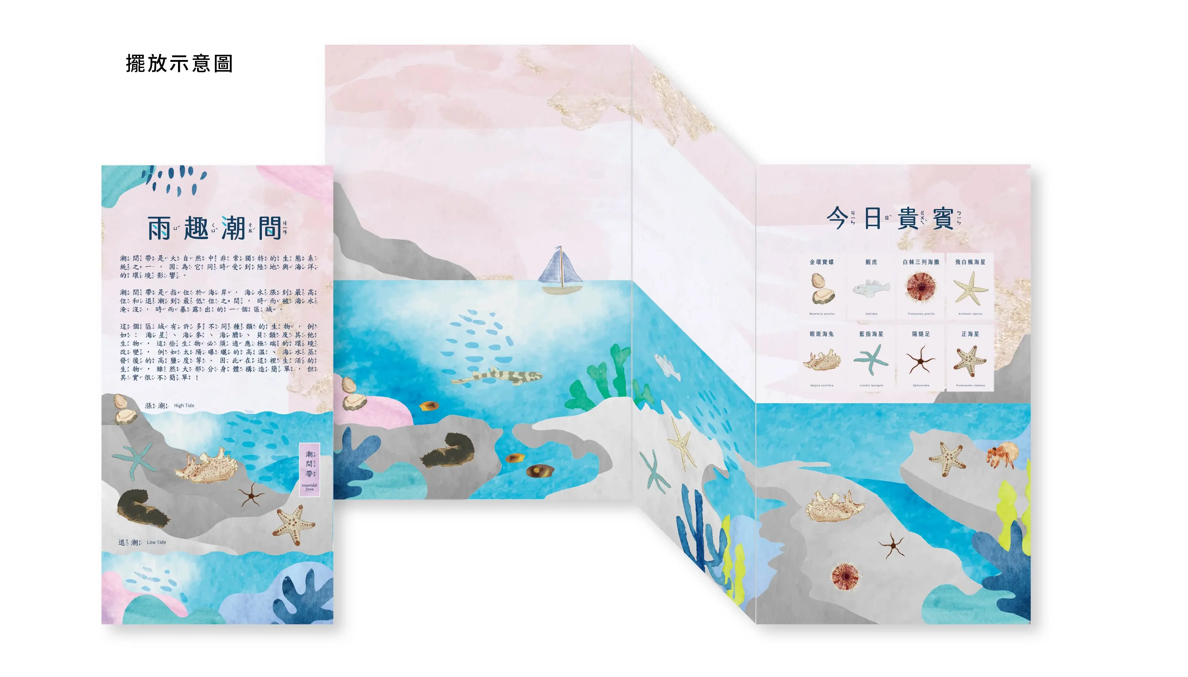 雨趣潮間 牆面大圖示意